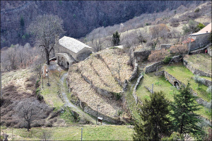 traiolkaldunii